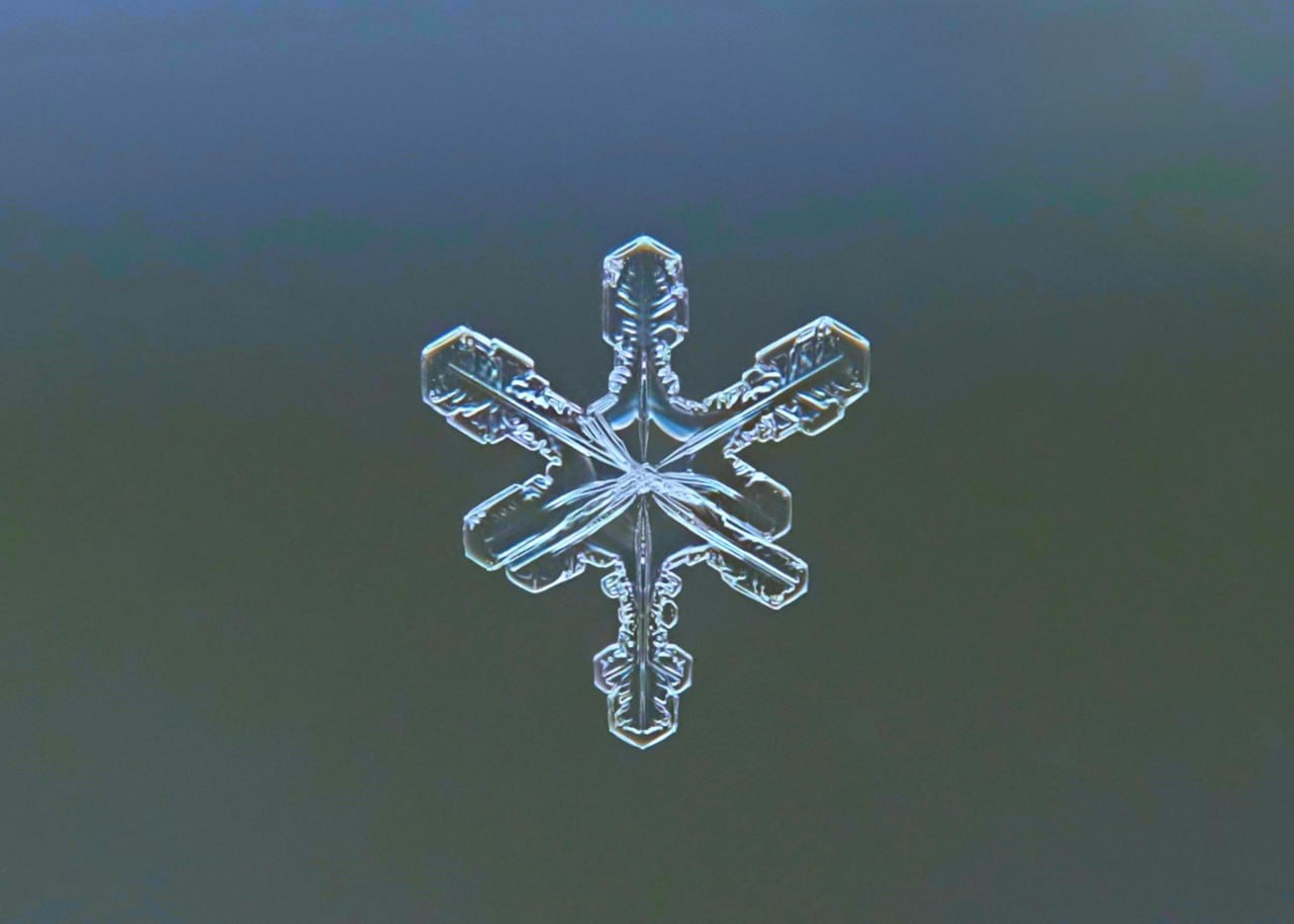 Facilitated leadership workshop with international participants