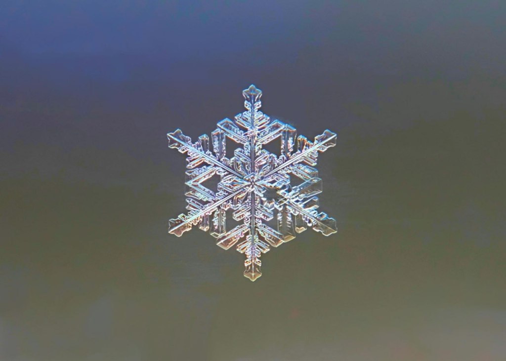 Homepage screenshot 5