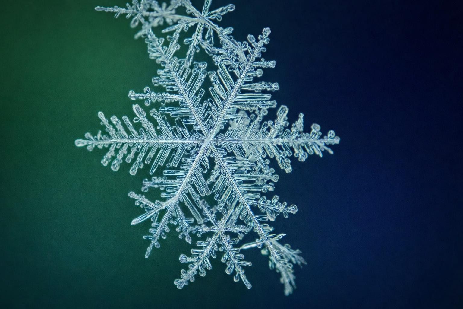 Homepage screenshot 2